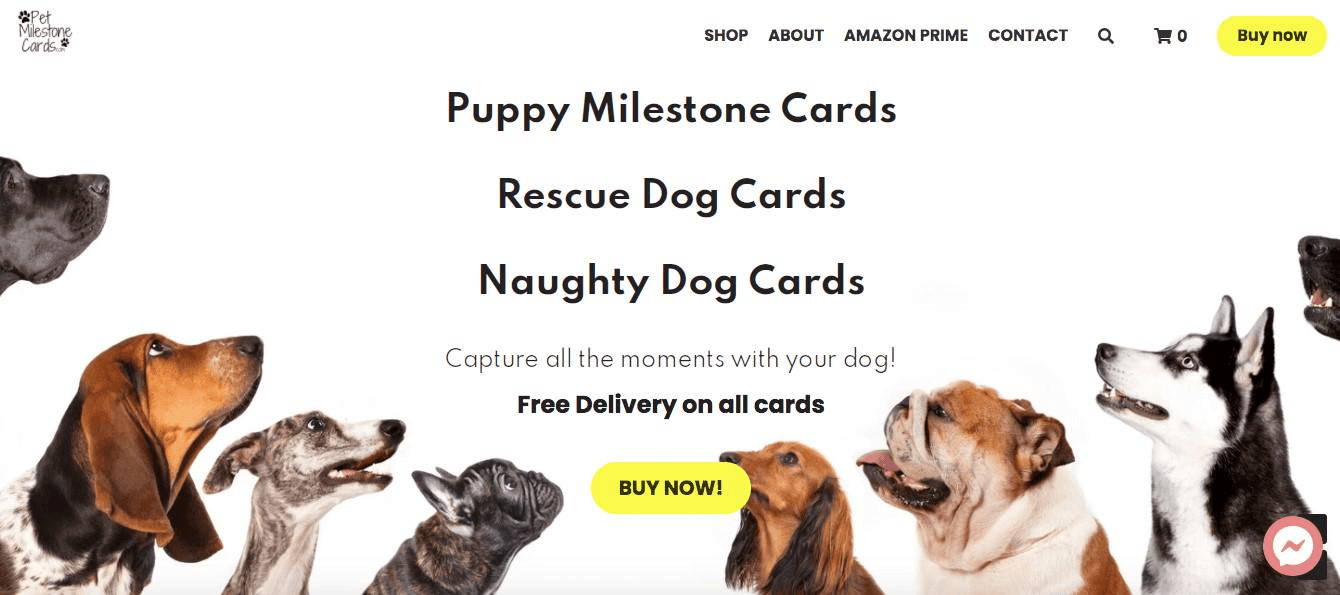 DIY商業創意之寵物卡片 DIY商業創意之寵物卡片